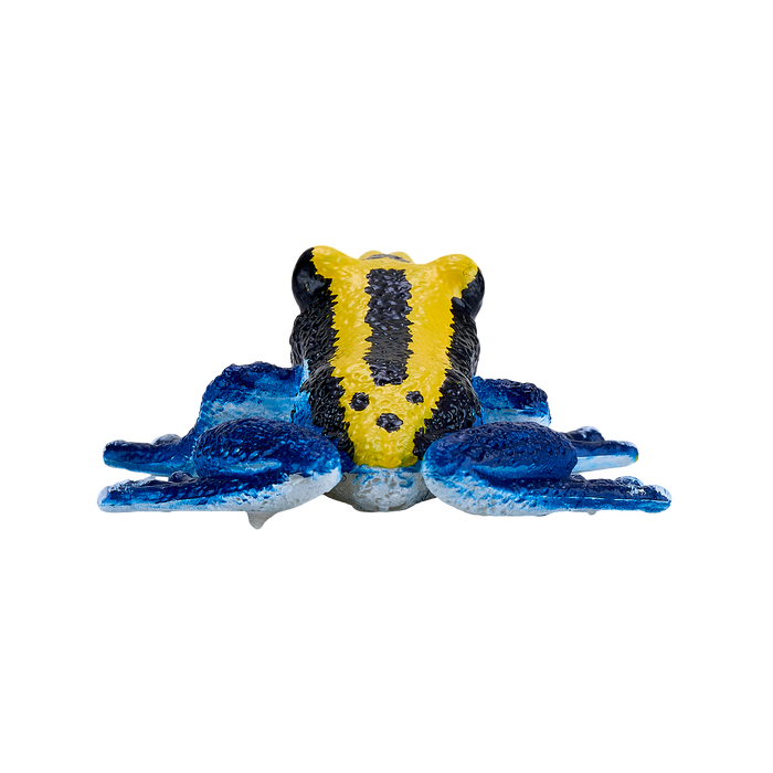 Poison Dart Frog Blue Toy Realistic Rainforest Amphibian