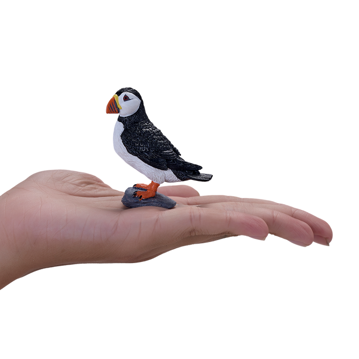 Atlantic Puffin Bird Figurine Realistic Wildlife Model