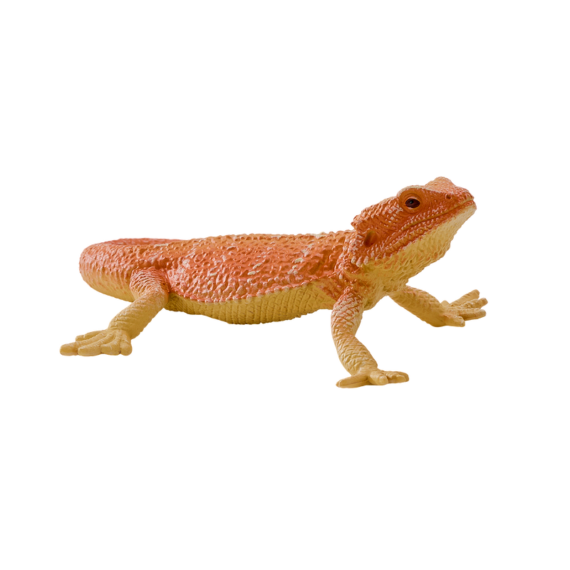 Bearded Dragon Toy Realistic Reptile Model