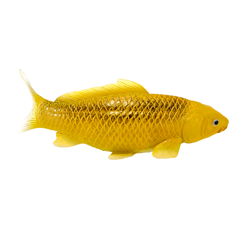 Koi Carp Kin Matsuba Realistic Fish Figurine