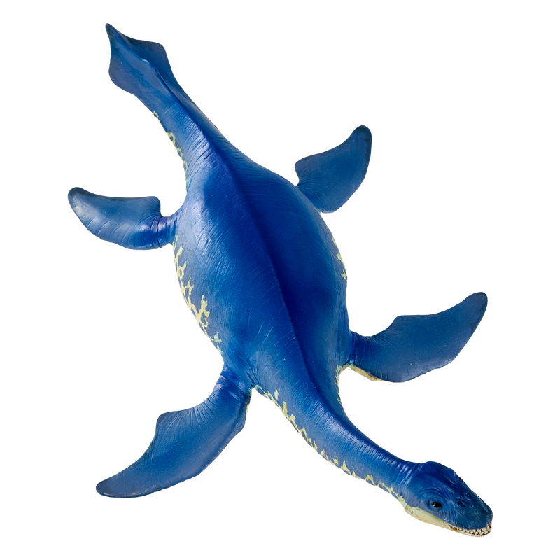 Cryptoclidus Dinosaur Toy Prehistoric Marine Reptile