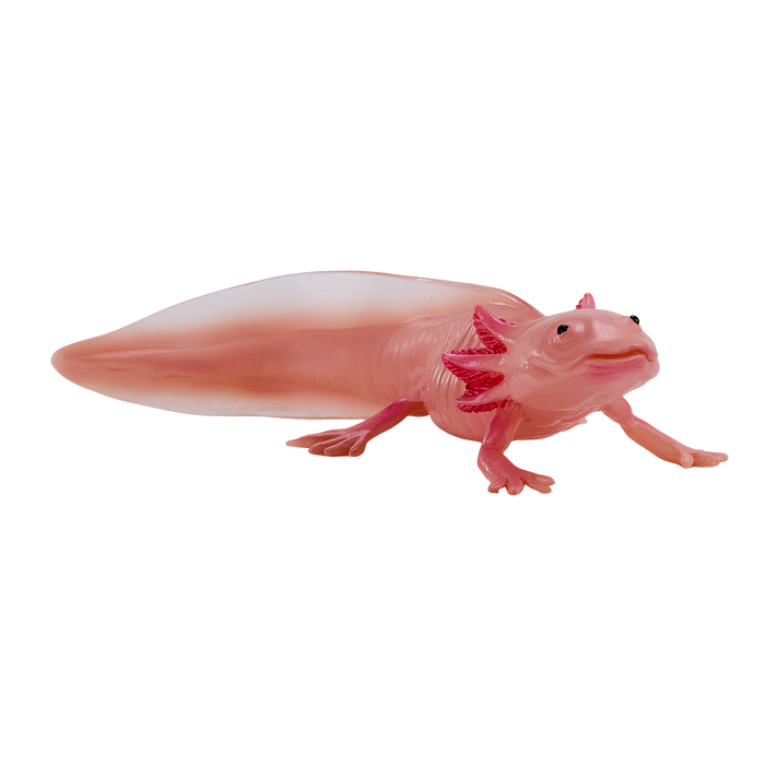 Axolotl Toy Realistic Amphibian Figurine