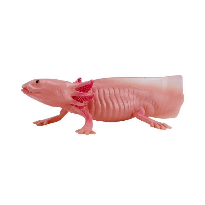 Axolotl Toy Realistic Amphibian Figurine