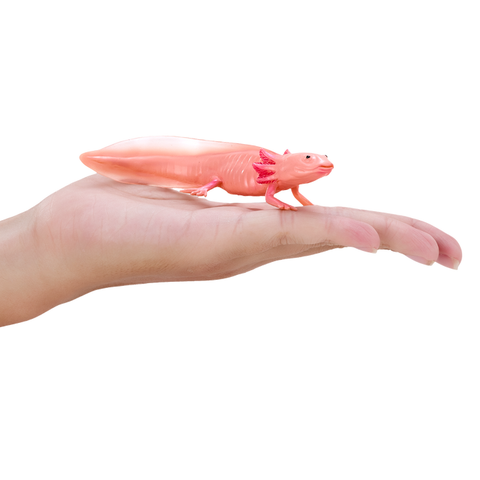 Axolotl Toy Realistic Amphibian Figurine