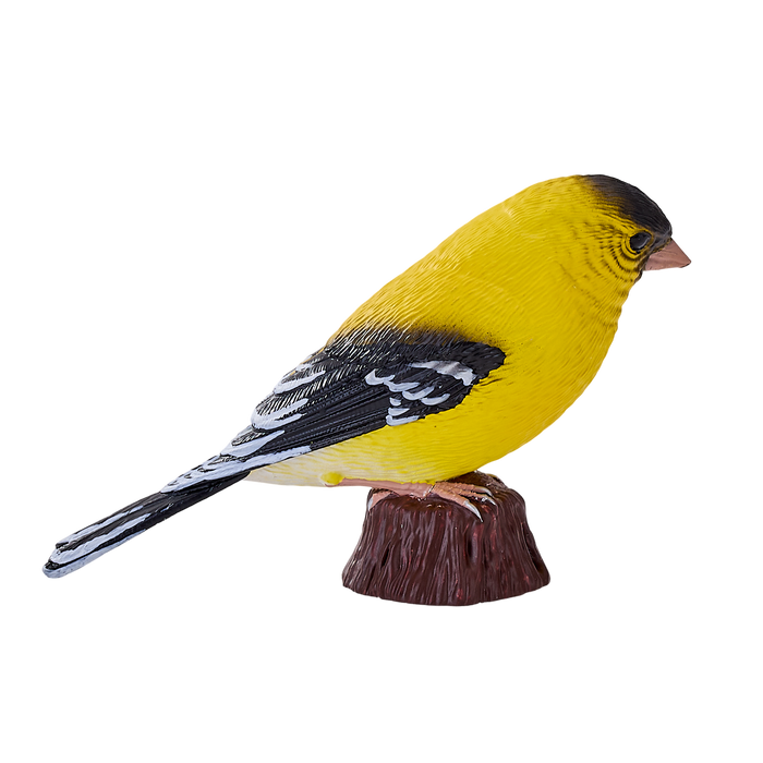 American Goldfinch Bird Toy Realistic Wildlife Model