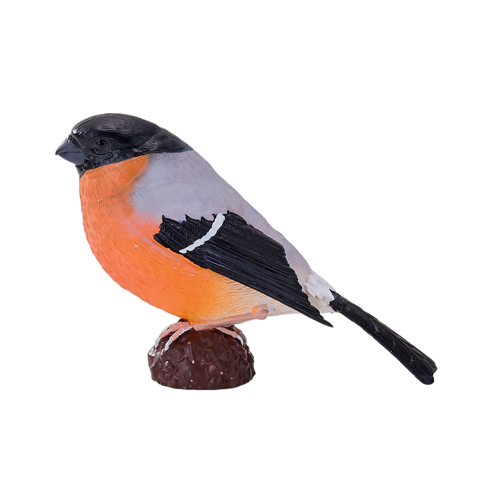 Bullfinch Bird Toy Realistic Wildlife Figurine