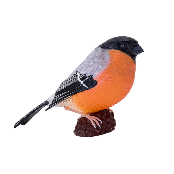 Bullfinch Bird Toy Realistic Wildlife Figurine