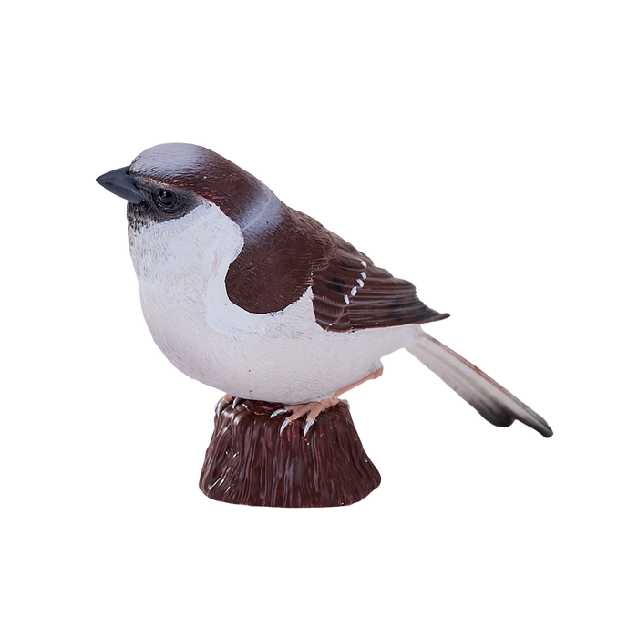 House Sparrow Bird Toy Realistic Wildlife Figurine