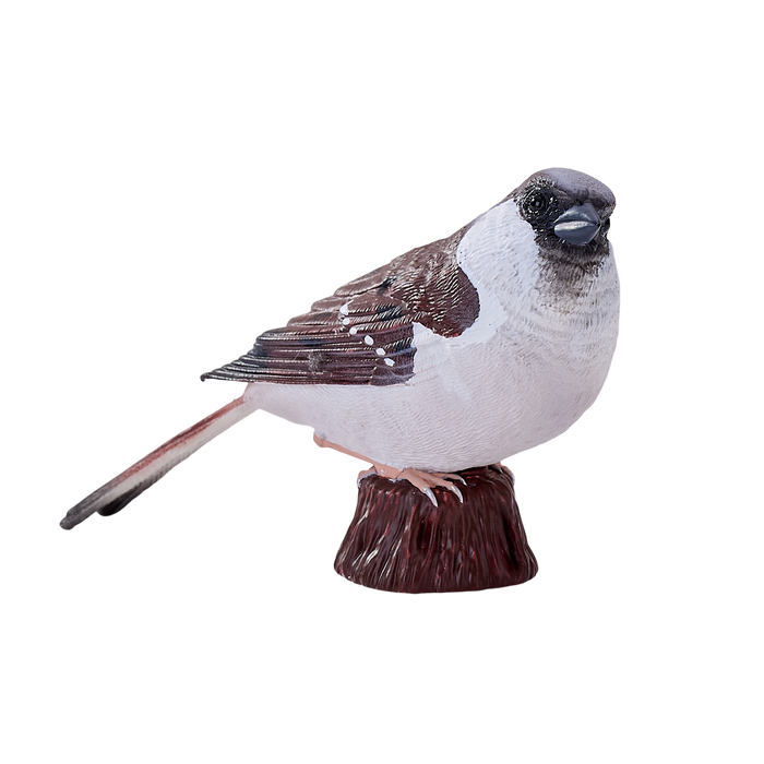 House Sparrow Bird Toy Realistic Wildlife Figurine
