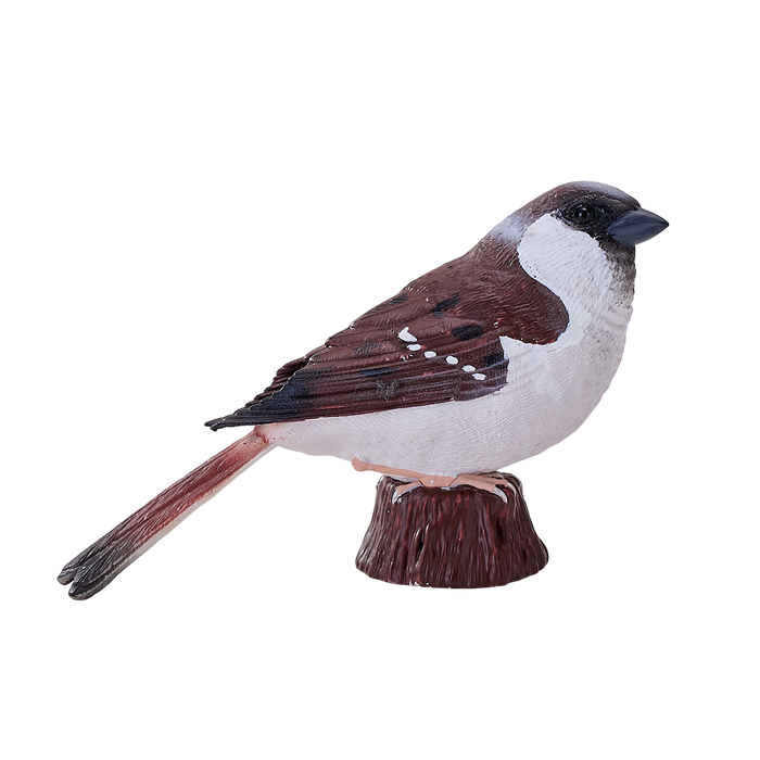 House Sparrow Bird Toy Realistic Wildlife Figurine