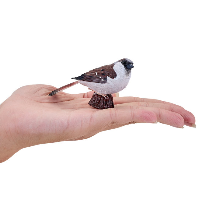 House Sparrow Bird Toy Realistic Wildlife Figurine