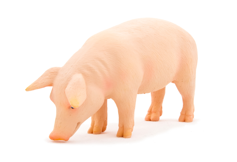 Wild Boar Pig Toy Realistic Farm & Forest Animal Figure