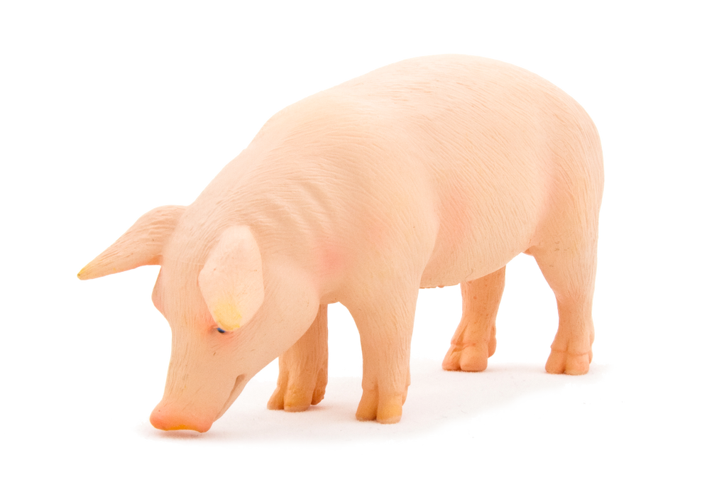 Wild Boar Pig Toy Realistic Farm & Forest Animal Figure