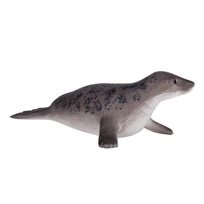 Grey Seal Toy Realistic Marine Mammal Model