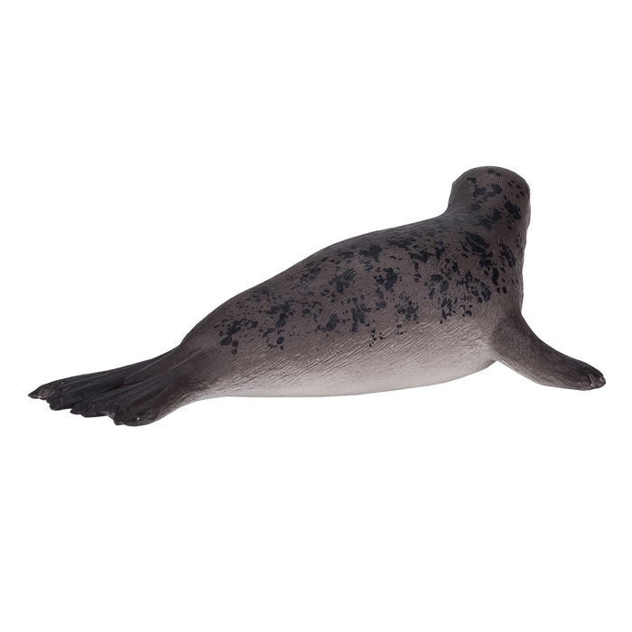 Grey Seal Toy Realistic Marine Mammal Model