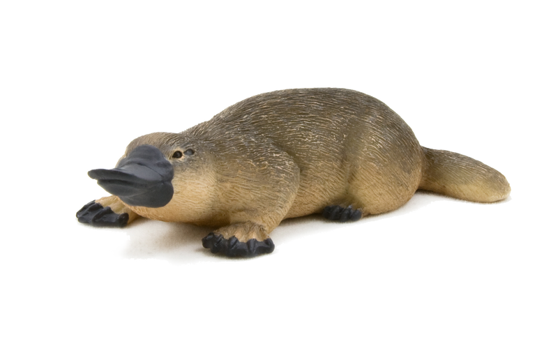 Duck-Billed Platypus Toy Realistic Australian Wildlife Model