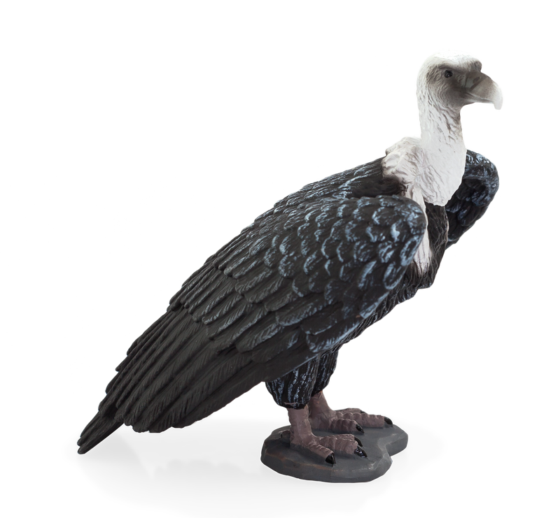 Griffon Vulture Toy Realistic Bird of Prey Figurine