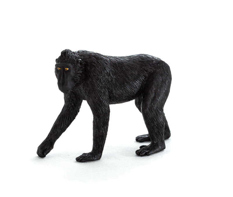 Black Crested Macaque Toy Realistic Primate Figurine