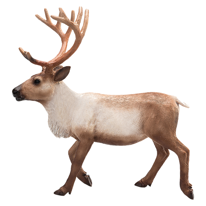 Reindeer Toy Realistic Arctic Wildlife Figurine