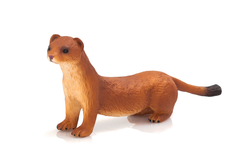 Stoat Toy Figure Realistic Small Mammal Model