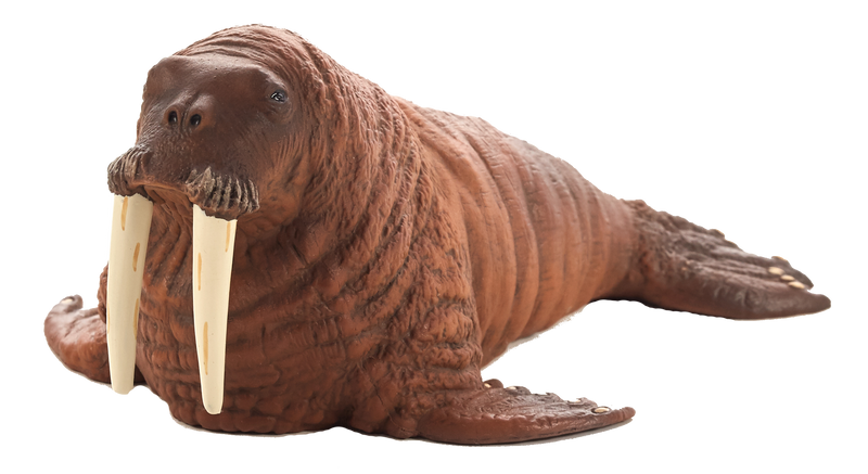 Walrus Toy Realistic Arctic Wildlife Figurine
