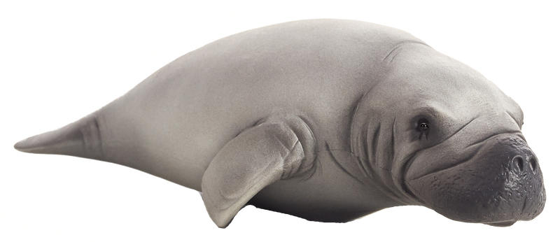 Manatee Toy Realistic Marine Mammal Figurine