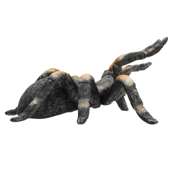 Red-Kneed Tarantula Toy Realistic Spider Figurine