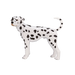 https://cdn.shopify.com/s/files/1/0586/8955/2545/files/387248_Dalmatian_1.png