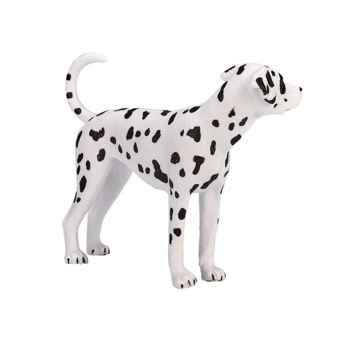 https://cdn.shopify.com/s/files/1/0586/8955/2545/files/387248_Dalmatian_3.png