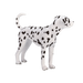 https://cdn.shopify.com/s/files/1/0586/8955/2545/files/387248_Dalmatian_3.png