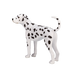 https://cdn.shopify.com/s/files/1/0586/8955/2545/files/387248_Dalmatian_5.png