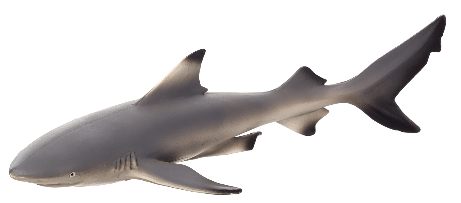 Blacktip Reef Shark Toy Realistic Ocean Predator Model