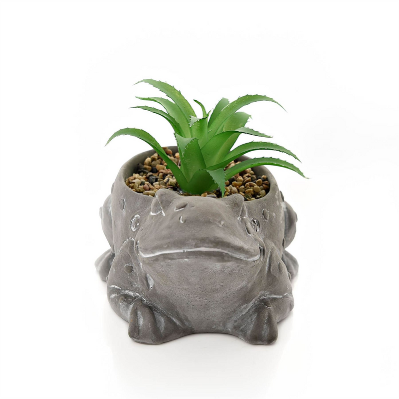 Large Cement Effect Frog Planter with Succulent