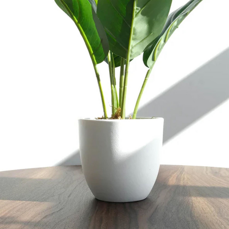 Pack of 6 x 45cm Artificial Aureum Plant