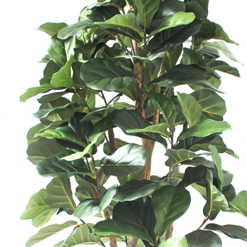 180cm Artificial Fiddle Fig Deluxe Tree