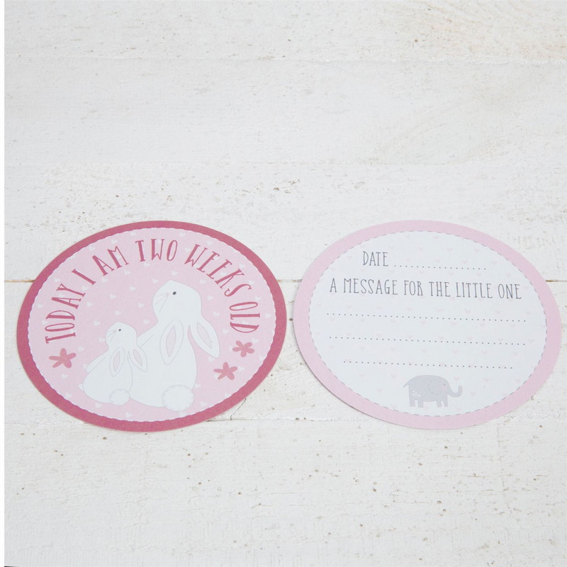 Petit Cheri Milestone Cards - Pink