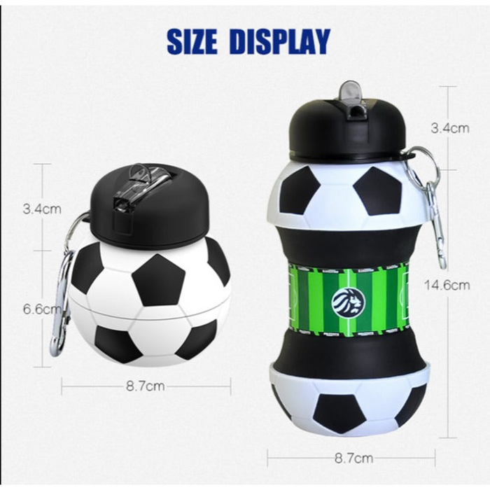 Lionstrike Sports Water Bottle, 550ml