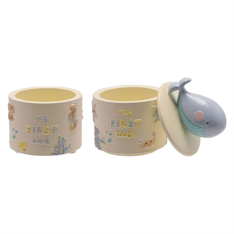 Petit Cheri Resin Sea First Tooth and Curl Box