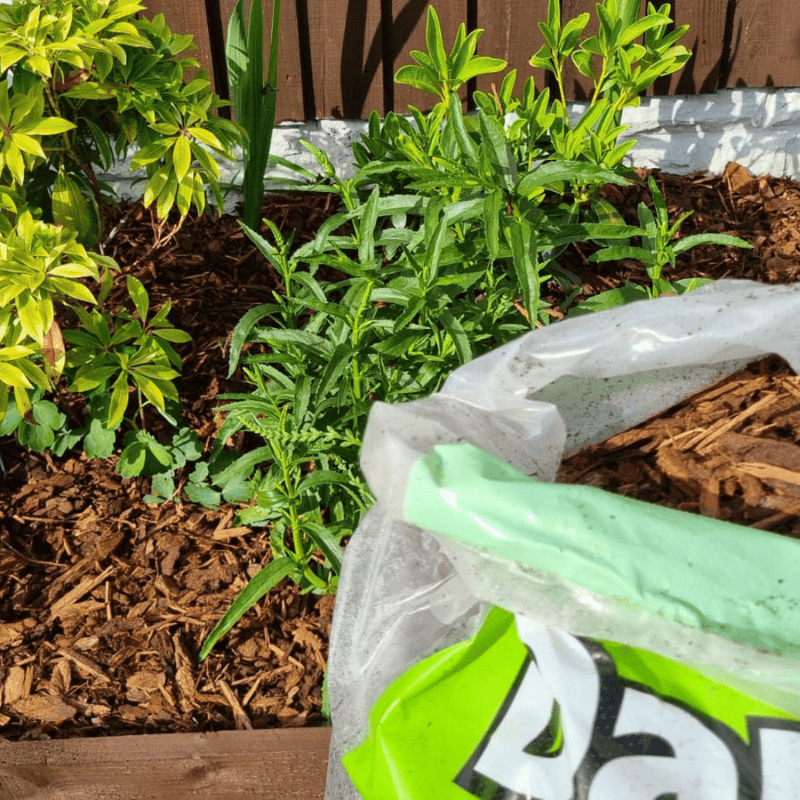Premium Border Landscaping Bark Mulch