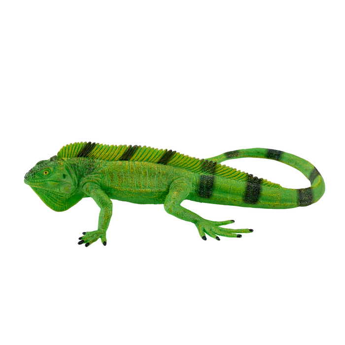 Iguana Toy Realistic Reptile Figurine