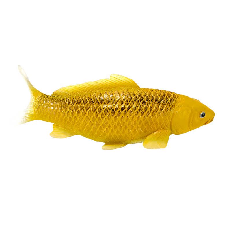 Kin Matsuba Koi Carp Mojo Hand Painted Fish
