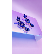 https://avasamnew.s3.amazonaws.com/product/GB010170/S0671741626/3.png