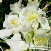 3d44ff4a-d59c-4df2-bd46-70a7634e154a.png