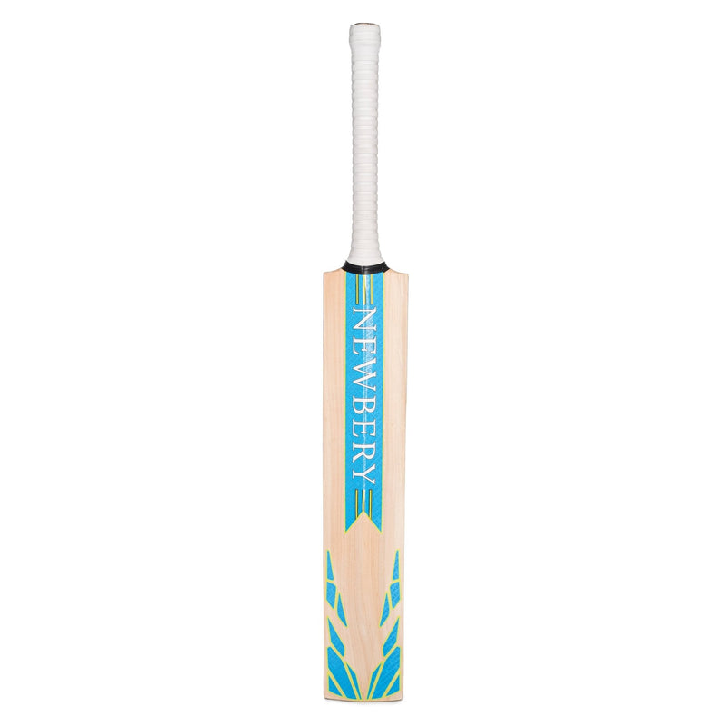 Newbery Pulse Kashmir Willow Cricket Bat