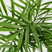40cm Artificial Bamboo Palm Bush Plant - InStock
