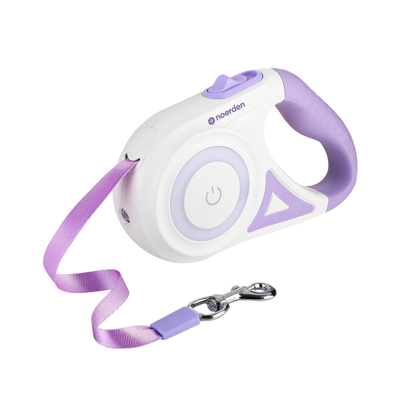Flexi Leash (LED Retractable Leash)