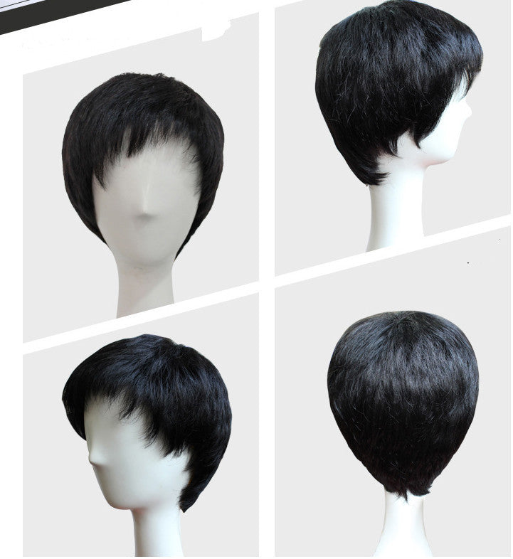 Fluffy Short Hair Wig