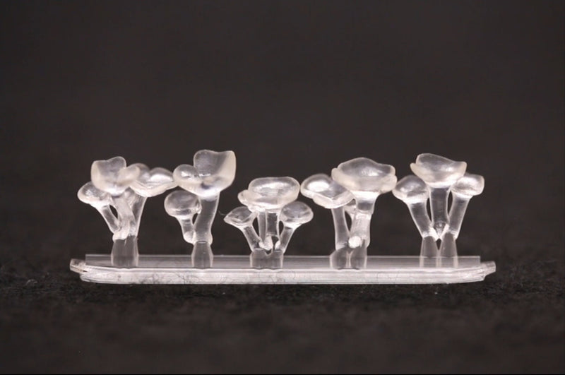 Oyster Mushrooms - DIY Dice Inclusions