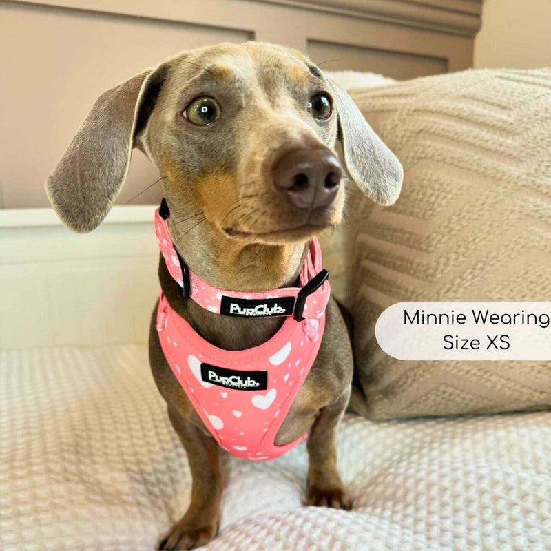 PupClub Dog Adjustable Harness - Peachy Hearts