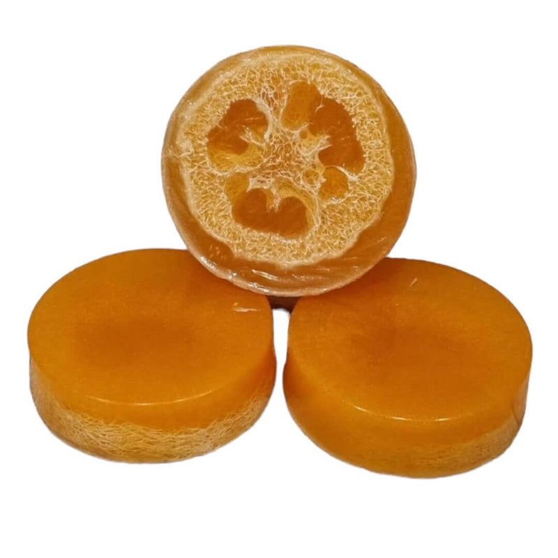 Cocktail Fizz Loofah Soap